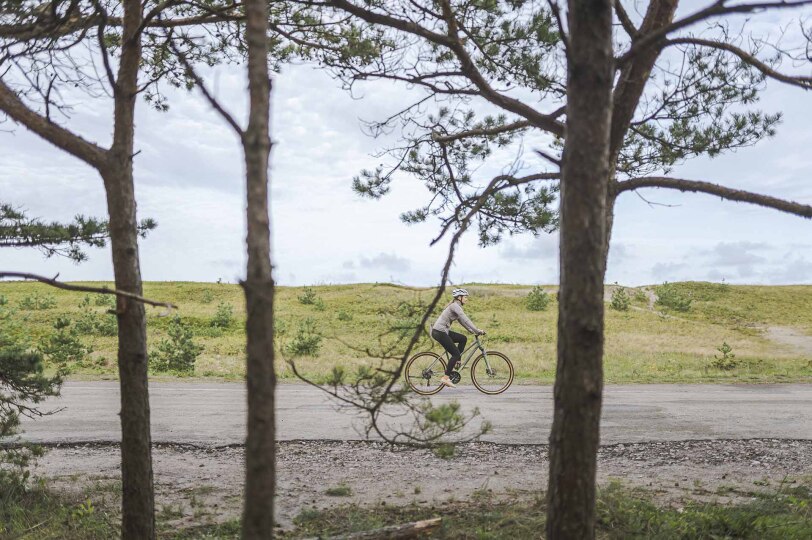 Viajes Lituania Blackpepper 0009 Cycling Path Curonian Spit C Simas Bernotas