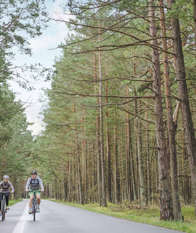 Viatges ideal parelles