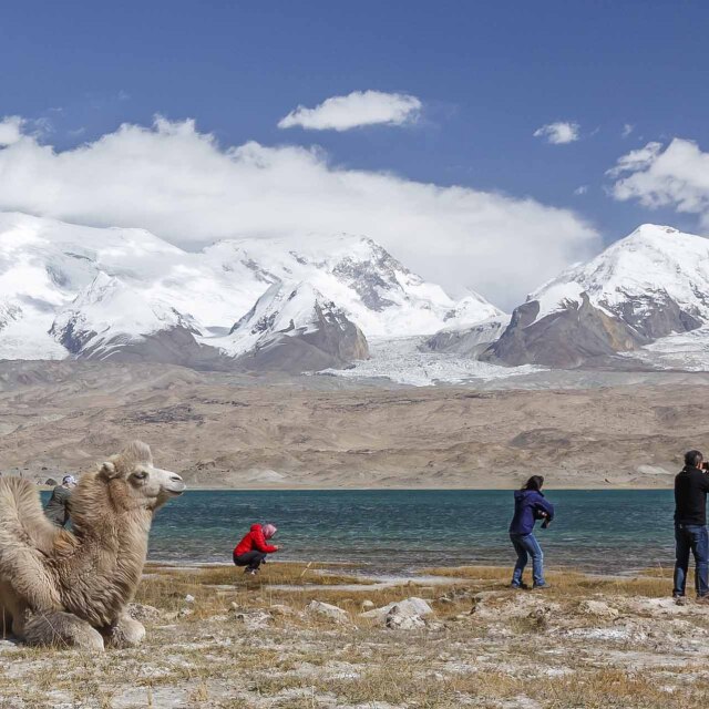 Camellos junto al lago Karakul observando a viajeros en Tayikistán