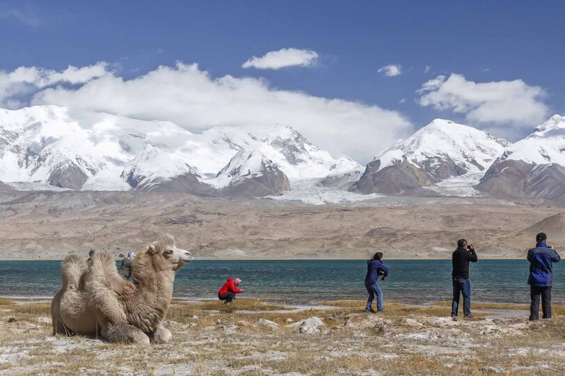 Camellos en el lago Karakul