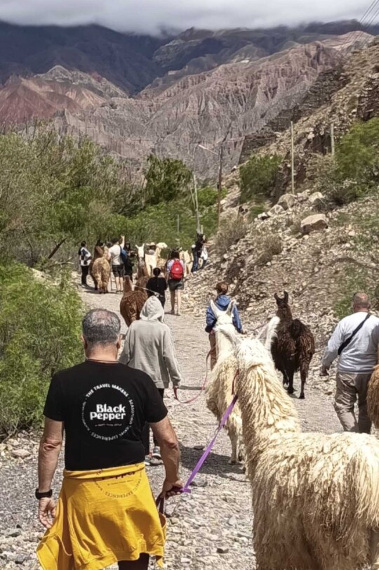 Viajes Argentina Blackpepper Vertical 0026 Norte