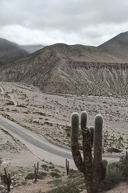 Viajes Argentina Blackpepper Vertical 0036 Norte