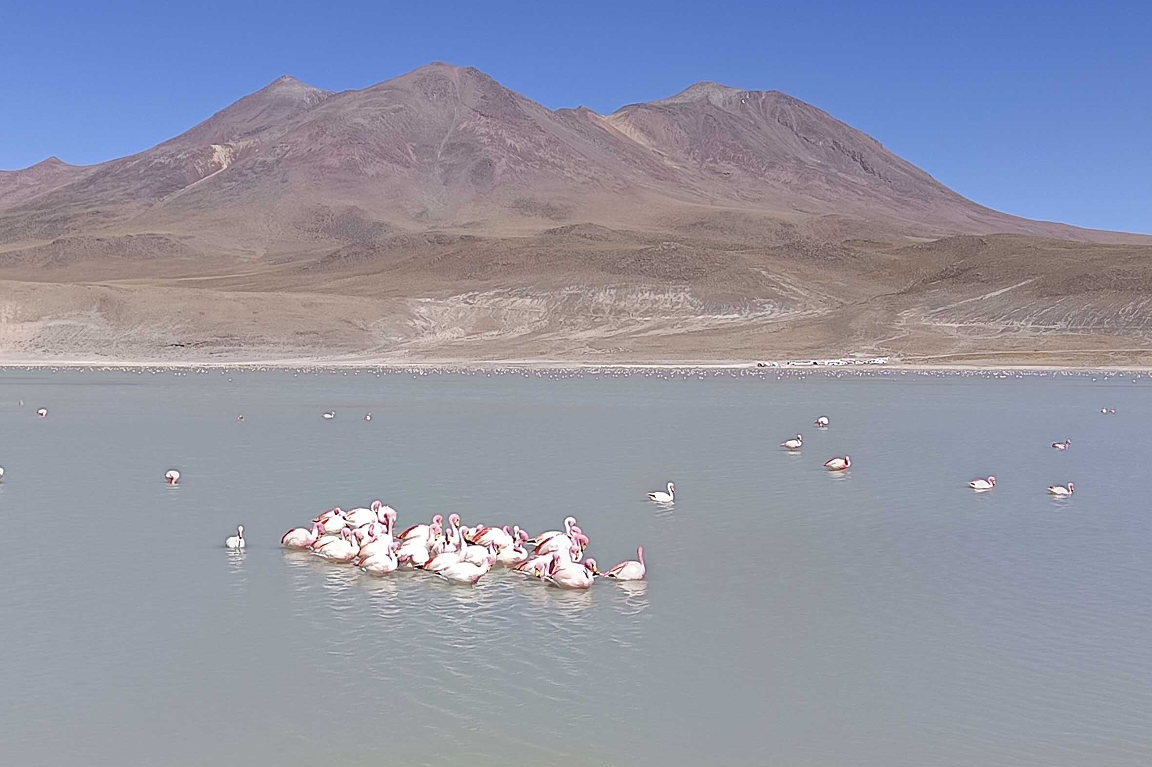 Viajes Bolivia Uyuni Blackpepper Travel 0007 Laguna Verde