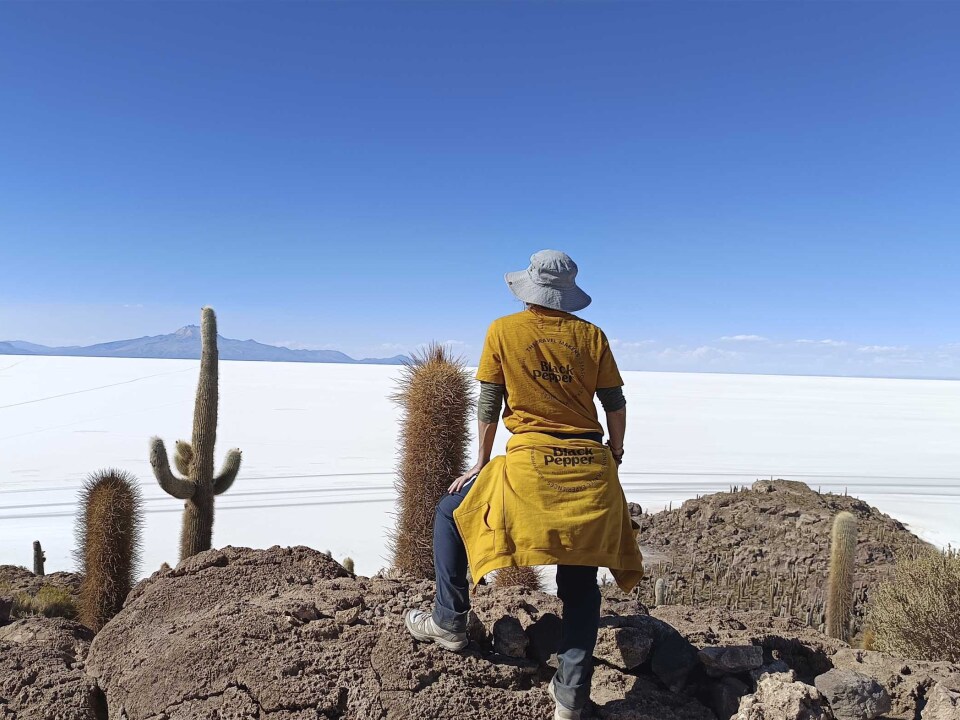 El Salar d'Uyuni. Tot el que necessites saber per visitar aquest desert de sal.