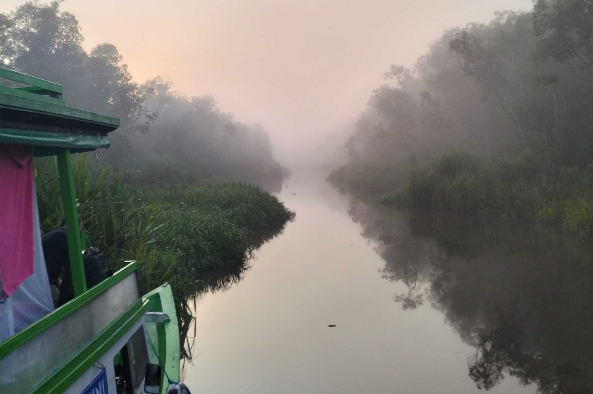 Dormir a la selva de Borneo: navegant el riu Sekonyer cap als orangutans de Tanjung Puting