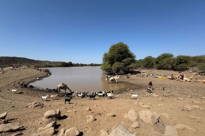 Viaje Danakil Etiopia Blackpepper Afar 2